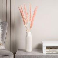 65-70cm Pampas Grass 11pc Pink