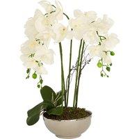 65cm Artificial White Orchid in Silver/Natural Ceramic Pot