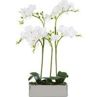 52cm Artificial White Orchid in Silver Finish Pot