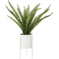 56cm Fern in White Cement Pot with Iron Stand