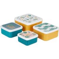 Set of 4 Winter Palm Lunch Boxes