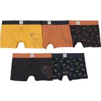 Pack of 5 Boxers in Dinosaur Print Cotton