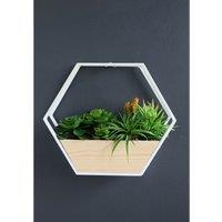 30.5cm Artificial Succulents in White Hexagon Planter