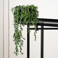 54cm Artificial Trailing Succulent Plant - String of Pearls