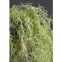 70cm Artificial Trailing Spanish Moss / Tilandsia Plant