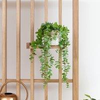 42cm Artificial Trailing Eucalyptus Plant