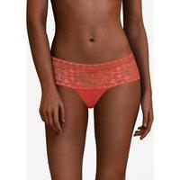 Day to Night Shorts