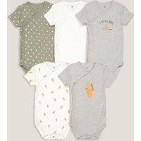 Pack of 5 Newborn Bodysuits in Cotton