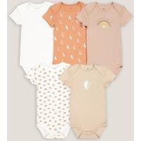 Pack of 5 Bodysuits in Cotton with Short Sleeves