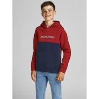 Cotton Mix Hoodie with Logo Print, 10-16 Years