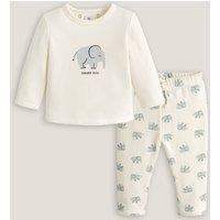 Organic Cotton Sweatshirt/Joggers Outfit