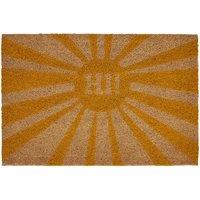 Hi Sunshine Coir Doormat