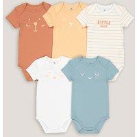 Pack of 5 Bodysuits in Cotton with Short Sleeves