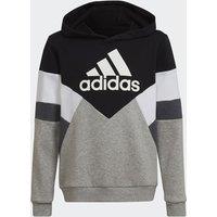 Colour Block Hoodie with Logo Print in Cotton Mix, 7-16 Years