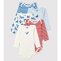 Pack of 5 Bodysuits in Cotton with Long Sleeves