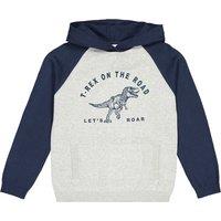 Cotton Dinosaur Knitted Hoodie, 3-12 Years