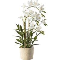 56cm Artificial Orchid Cycnoches