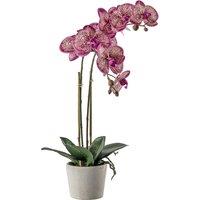 50cm Artificial Orchid Pink With Ceramic Pot
