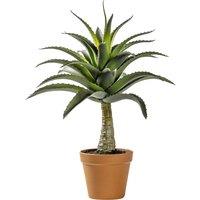 57cm Artificial Potted Agave