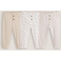 Pack of 3 Leggings in Cotton