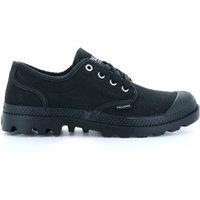 Pampa Oxford Low Top Trainers