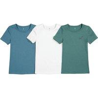 Pack of 3 T-Shirts in Cotton with Dinosaur Print on the Chest