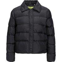 Short Padded Jacket