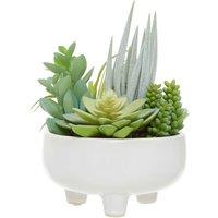 24cm Artificial Fiori Mixed Succulent in White Ceramic Pot
