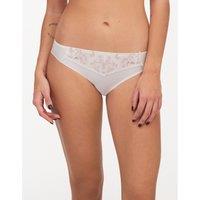 Bold Curve Embroidered Knickers