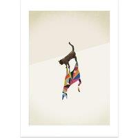 Cat 2 by Jason Ratliff Print