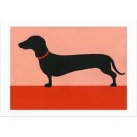 Daschund by Rosi Feist Print