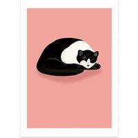 Cat Nap by Sifa Mustafa Print