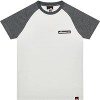 Embroidered Logo Cotton T-Shirt with Short Sleeves