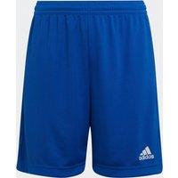Embroidered Logo Shorts