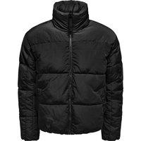 Everett Padded Puffer Jacket with Zip Fastening and High Neck