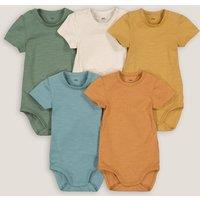 Pack of 5 Bodysuits in Cotton with Short Sleeves