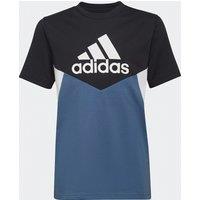 Colour Block Cotton T-Shirt with Logo Print