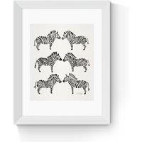 Black-Zebras by Cat Coquillette