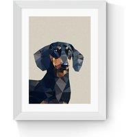 Daschund by Studio Cockatoo