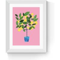 Meyer Lemon Tree by Anek