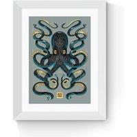 Octopus by Mark Harrison