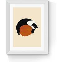 Sleeping Cat by Sifa Mustafa