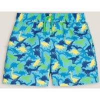 Dinosaur Print Swim Shorts