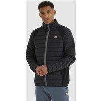 Short Mid-Season Padded Jacket with High Neck