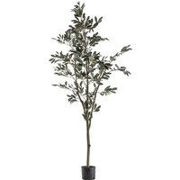 182cm Artificial Olive Tree