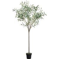 172cm Artificial Olive Tree