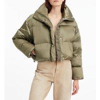 Short Padded Puffer Jacket with Zip Fastening