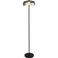 Smoked Glass Led Dome Floor Lamp with Black Metal Base