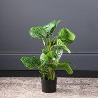 70cm Artificial Real Touch Arrowroot and Maranta Plant