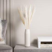 60cm Cream Dried Fluffy Grass